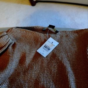 Ann Taylor sweater